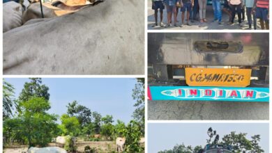 ग्रामीणों ने जान जोखिम में डालकर गौ तस्करों के चंगुल से गौ माता को बचाया ग्रामीणों ने जान जोखिम में डालकर गौ तस्करों के चंगुल से गौ माता को बचाया