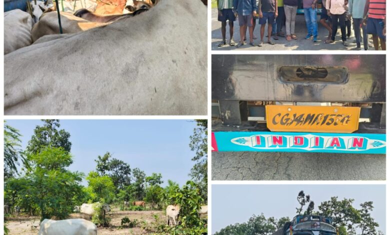 ग्रामीणों ने जान जोखिम में डालकर गौ तस्करों के चंगुल से गौ माता को बचाया ग्रामीणों ने जान जोखिम में डालकर गौ तस्करों के चंगुल से गौ माता को बचाया