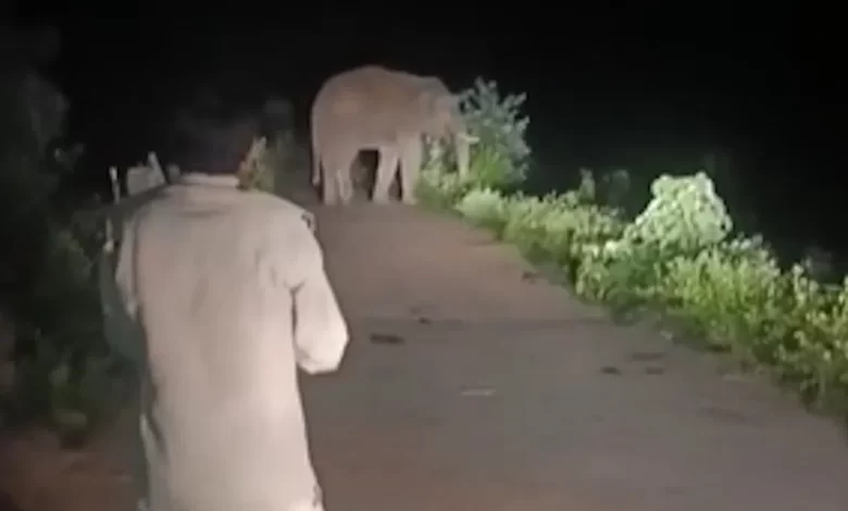 दंतैल हाथी ने मचाया उत्पात, मकानों-दुकानों पर किया हमला दंतैल हाथी ने मचाया उत्पात, मकानों-दुकानों पर किया हमला