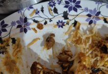 होटल के खाने में निकला कॉकरोच होटल के खाने में निकला कॉकरोच