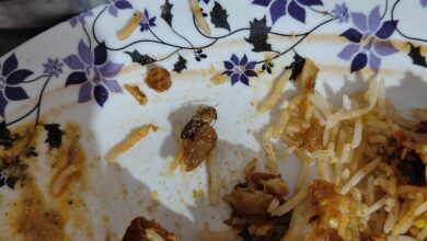 होटल के खाने में निकला कॉकरोच