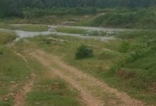 कोकिया नदी पर पुल से दर्जनों गावों में आवागमन होगा आसान कोकिया नदी पर पुल से दर्जनों गावों में आवागमन होगा आसान