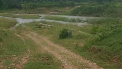 कोकिया नदी पर पुल से दर्जनों गावों में आवागमन होगा आसान