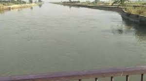 नहर में मिली युवती की लाश नहर में मिली युवती की लाश