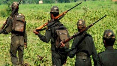 मार्च 2026 तक अपना राज्य नक्सलमुक्त होगा : CM साय मार्च 2026 तक अपना राज्य नक्सलमुक्त होगा : CM साय