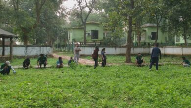 सेवा पखवाड़ा के तहत बारनवापारा में स्वच्छता और पौधरोपण