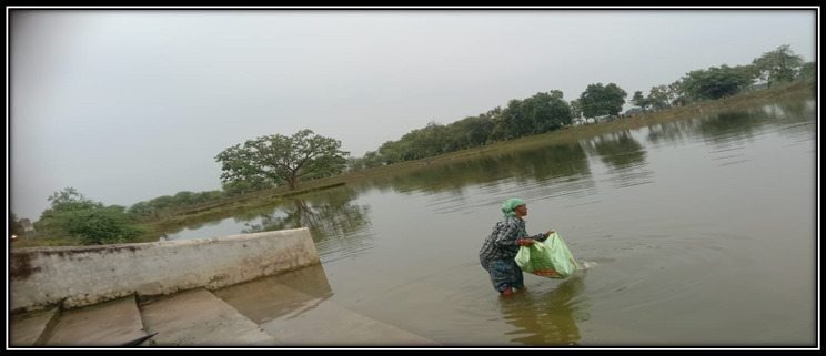 अमृत सरोवर से 650 महिलाओं को मिला रोजगार, आर्थिक रूप से हुई आत्मनिर्भर अमृत सरोवर से 650 महिलाओं को मिला रोजगार, आर्थिक रूप से हुई आत्मनिर्भर