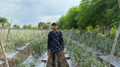 सब्जी की आधुनिक खेती से आर्थिक रूप से किसान हुआ आत्मनिर्भर