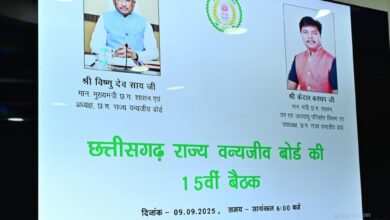 वन्य प्राणियों का संरक्षण और संवर्धन हमारी प्राथमिकता, तीन वर्षों में राज्य में बाघों की संख्या बढ़ी: सीएम साय