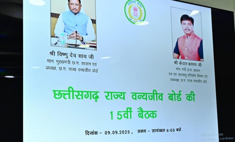 वन्य प्राणियों का संरक्षण और संवर्धन हमारी प्राथमिकता, तीन वर्षों में राज्य में बाघों की संख्या बढ़ी: सीएम साय वन्य प्राणियों का संरक्षण और संवर्धन हमारी प्राथमिकता, तीन वर्षों में राज्य में बाघों की संख्या बढ़ी: सीएम साय