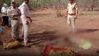 हाथी ने बुजुर्ग महिला को कुचला हाथी ने बुजुर्ग महिला को कुचला