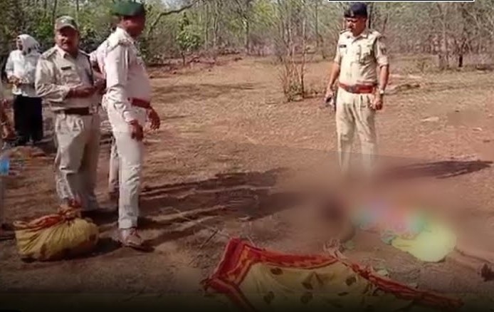 हाथी ने बुजुर्ग महिला को कुचला हाथी ने बुजुर्ग महिला को कुचला
