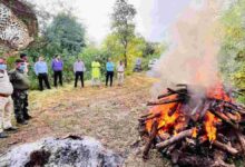 गोयनका इस्पात में तेंदुए का शिकार, सियासी घमासान तेज गोयनका इस्पात में तेंदुए का शिकार, सियासी घमासान तेज