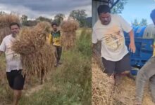 संतराम नेताम का देसी अंदाज: खेतों में मेहनत संतराम नेताम का देसी अंदाज: खेतों में मेहनत