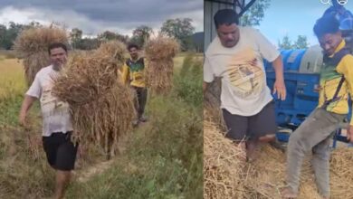 संतराम नेताम का देसी अंदाज: खेतों में मेहनत संतराम नेताम का देसी अंदाज: खेतों में मेहनत