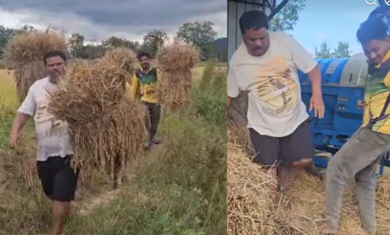 संतराम नेताम का देसी अंदाज: खेतों में मेहनत संतराम नेताम का देसी अंदाज: खेतों में मेहनत