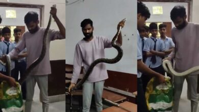 कोरबा में सांपों का कहर: स्कूल और घर में निकले खतरनाक सांप कोरबा में सांपों का कहर: स्कूल और घर में निकले खतरनाक सांप