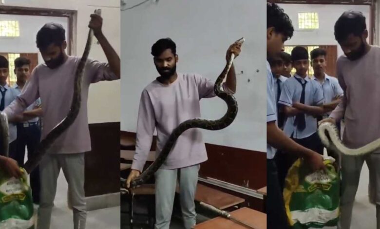 कोरबा में सांपों का कहर: स्कूल और घर में निकले खतरनाक सांप कोरबा में सांपों का कहर: स्कूल और घर में निकले खतरनाक सांप