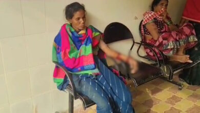 भालू के हमले से तीन ग्रामीण घायल भालू के हमले से तीन ग्रामीण घायल