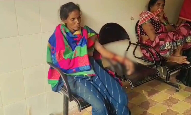 भालू के हमले से तीन ग्रामीण घायल भालू के हमले से तीन ग्रामीण घायल