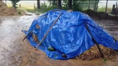 प्रदेश के 8 जिलों में येलो अलर्ट प्रदेश के 8 जिलों में येलो अलर्ट