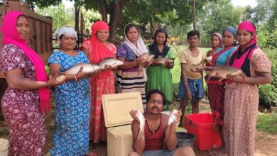 मछली पालन बना समूह की महिलाओं का आमदनी का जरिया