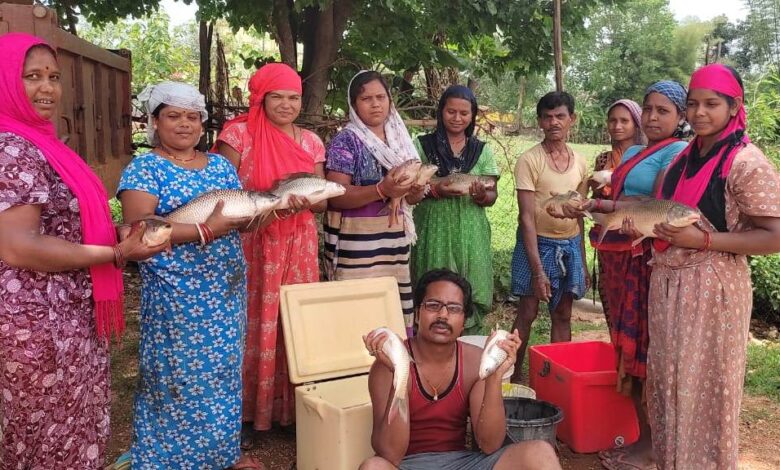 मछली पालन बना समूह की महिलाओं का आमदनी का जरिया मछली पालन बना समूह की महिलाओं का आमदनी का जरिया