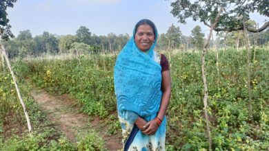 जयवती के टमाटर महाराष्ट्र की रसोई तक पहुंची जयवती के टमाटर महाराष्ट्र की रसोई तक पहुंची