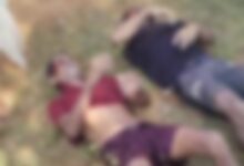 मधुमक्खियों से बचने तालाब में कूदे पिता पुत्र की डूबने से मौत मधुमक्खियों से बचने तालाब में कूदे पिता पुत्र की डूबने से मौत