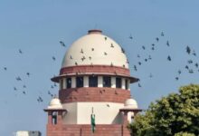 सुप्रीम कोर्ट ने CGPSC घोटाले के आरोपियों को जमानत दी