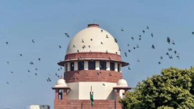 सुप्रीम कोर्ट ने CGPSC घोटाले के आरोपियों को जमानत दी सुप्रीम कोर्ट ने CGPSC घोटाले के आरोपियों को जमानत दी