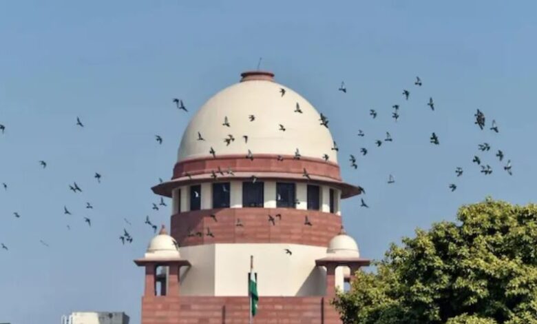 सुप्रीम कोर्ट ने CGPSC घोटाले के आरोपियों को जमानत दी सुप्रीम कोर्ट ने CGPSC घोटाले के आरोपियों को जमानत दी