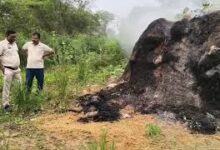 पैरावट में युवती की जली हुई लाश मिली पैरावट में युवती की जली हुई लाश मिली