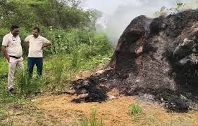 पैरावट में युवती की जली हुई लाश मिली पैरावट में युवती की जली हुई लाश मिली