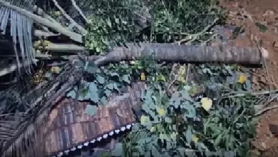 केरल: इडुक्की में भूस्खलन, दंपति दबा; महिला बची, पति की मौत केरल: इडुक्की में भूस्खलन, दंपति दबा; महिला बची, पति की मौत