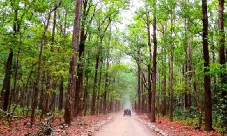 “छत्तीसगढ़ के बस्तर में राज्य का पहला वन विज्ञान केंद्र बनेगा” “छत्तीसगढ़ के बस्तर में राज्य का पहला वन विज्ञान केंद्र बनेगा”