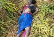 करंट जाल की चपेट में आकर महिला की मौत करंट जाल की चपेट में आकर महिला की मौत