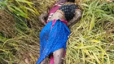 करंट जाल की चपेट में आकर महिला की मौत करंट जाल की चपेट में आकर महिला की मौत