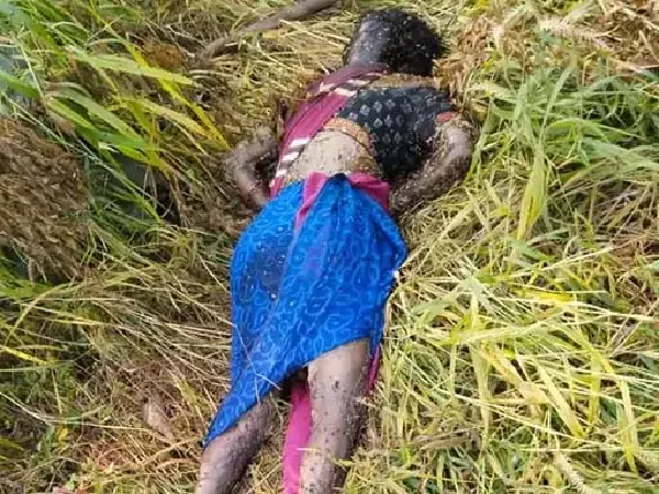 करंट जाल की चपेट में आकर महिला की मौत करंट जाल की चपेट में आकर महिला की मौत