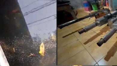 मच्छरों के बढ़ते प्रकोप से बेहाल हुआ बिलासपुर शहर” मच्छरों के बढ़ते प्रकोप से बेहाल हुआ बिलासपुर शहर”