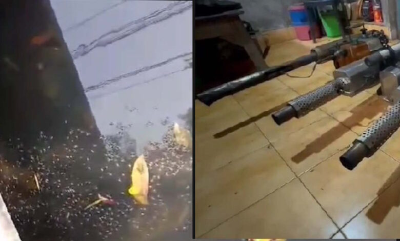 मच्छरों के बढ़ते प्रकोप से बेहाल हुआ बिलासपुर शहर” मच्छरों के बढ़ते प्रकोप से बेहाल हुआ बिलासपुर शहर”