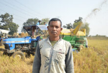 खेतों की मेहनत रंग लाई, किसान की फसल विक्रय के लिए तैयार
