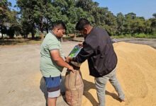 कोंडागांव के 15 केंद्रों में धान खरीदी की नहीं हुई बोहनी, अव्यवस्था से बढ़ी परेशानी