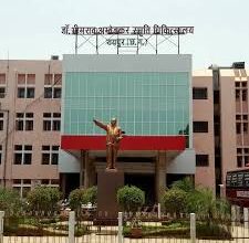 अंबेडकर अस्पताल के इमरजेंसी गेट से महज 10 फीट दूर पॉलीथिन में मिला नवजात शव अंबेडकर अस्पताल के इमरजेंसी गेट से महज 10 फीट दूर पॉलीथिन में मिला नवजात शव