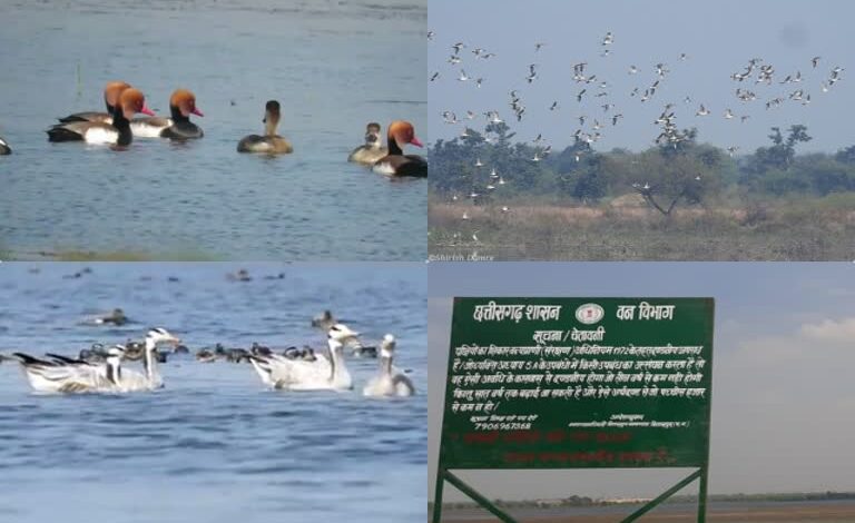 कोपरा जलाशय को मिलेगा रामसर स्थल का दर्जा, राज्य वेटलैंड प्राधिकरण ने भेजा प्रस्ताव