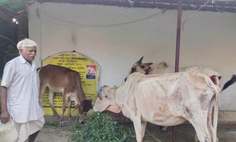 महात्मा गांधी नरेगा ने बदली बुलबुल की किस्मत, पशुशेड निर्माण के साथ खुला जैविक खेती का मार्ग महात्मा गांधी नरेगा ने बदली बुलबुल की किस्मत, पशुशेड निर्माण के साथ खुला जैविक खेती का मार्ग