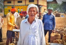 धान विक्रय में हुई सुगमता से प्रसन्नचित है बुजुर्ग किसान कोल्हु
