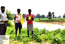 नवीन तालाब बना गांव की जीवनधारा, राधारमण नगर के ग्रामीणों के चेहरे पर लौटी मुस्कान