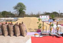 छत्तीसगढ़ में धान खरीदी प्रारंभ, किसानों की मेहनत का सम्मान हमारा संकल्प – मुख्यमंत्री साय