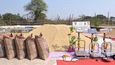 छत्तीसगढ़ में धान खरीदी प्रारंभ, किसानों की मेहनत का सम्मान हमारा संकल्प – मुख्यमंत्री साय छत्तीसगढ़ में धान खरीदी प्रारंभ, किसानों की मेहनत का सम्मान हमारा संकल्प – मुख्यमंत्री साय